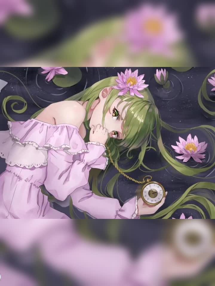 东方幻想乡-Lotus Love