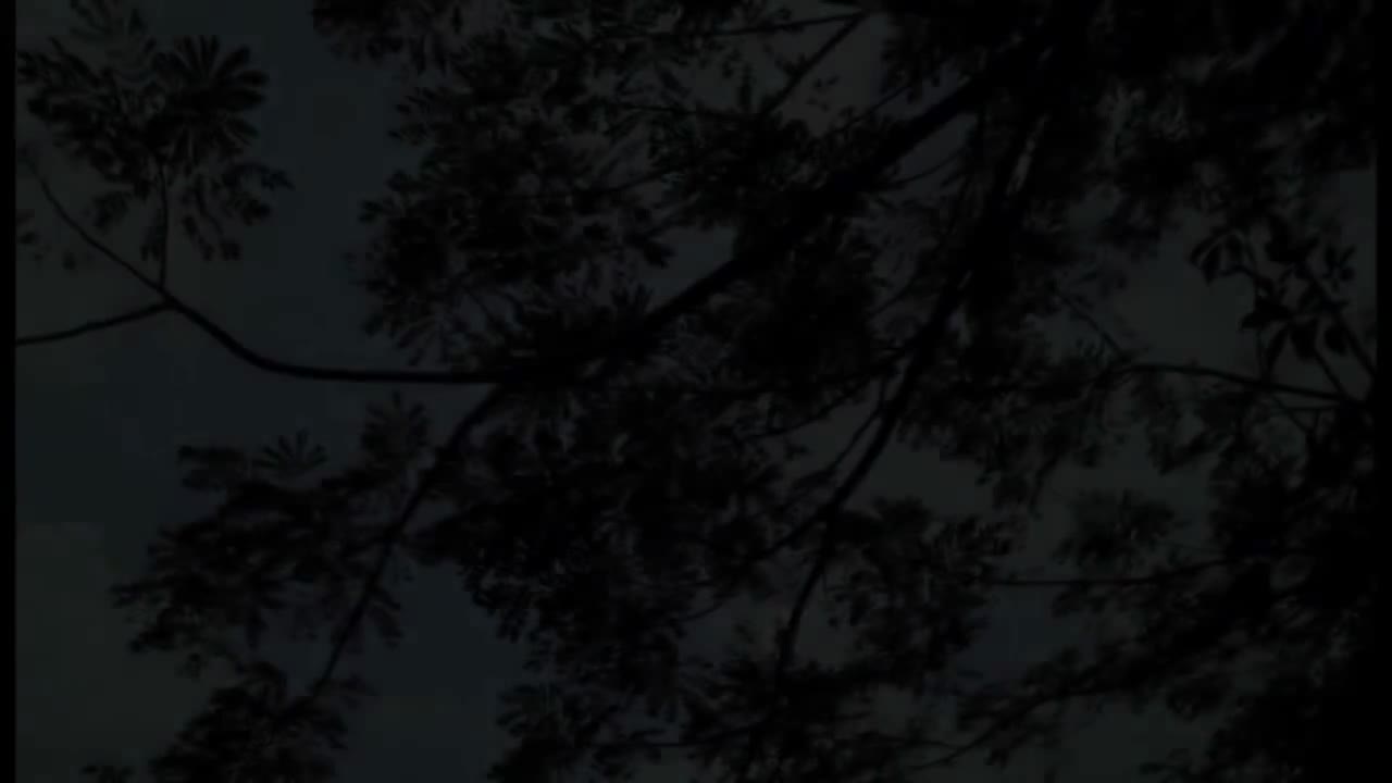 05. 我的最亲 (原创)