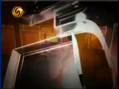 2007.0308儿童为何喜虐待动物