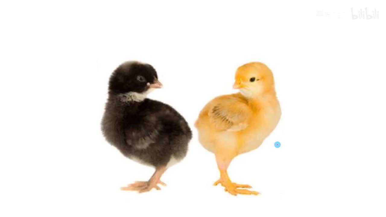 20.4.1通电导线在磁场中受力-原理