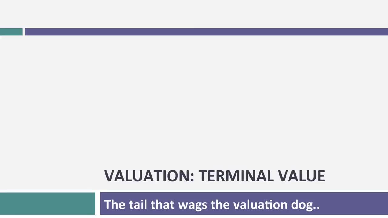 [P32]Session 32_ Terminal Value