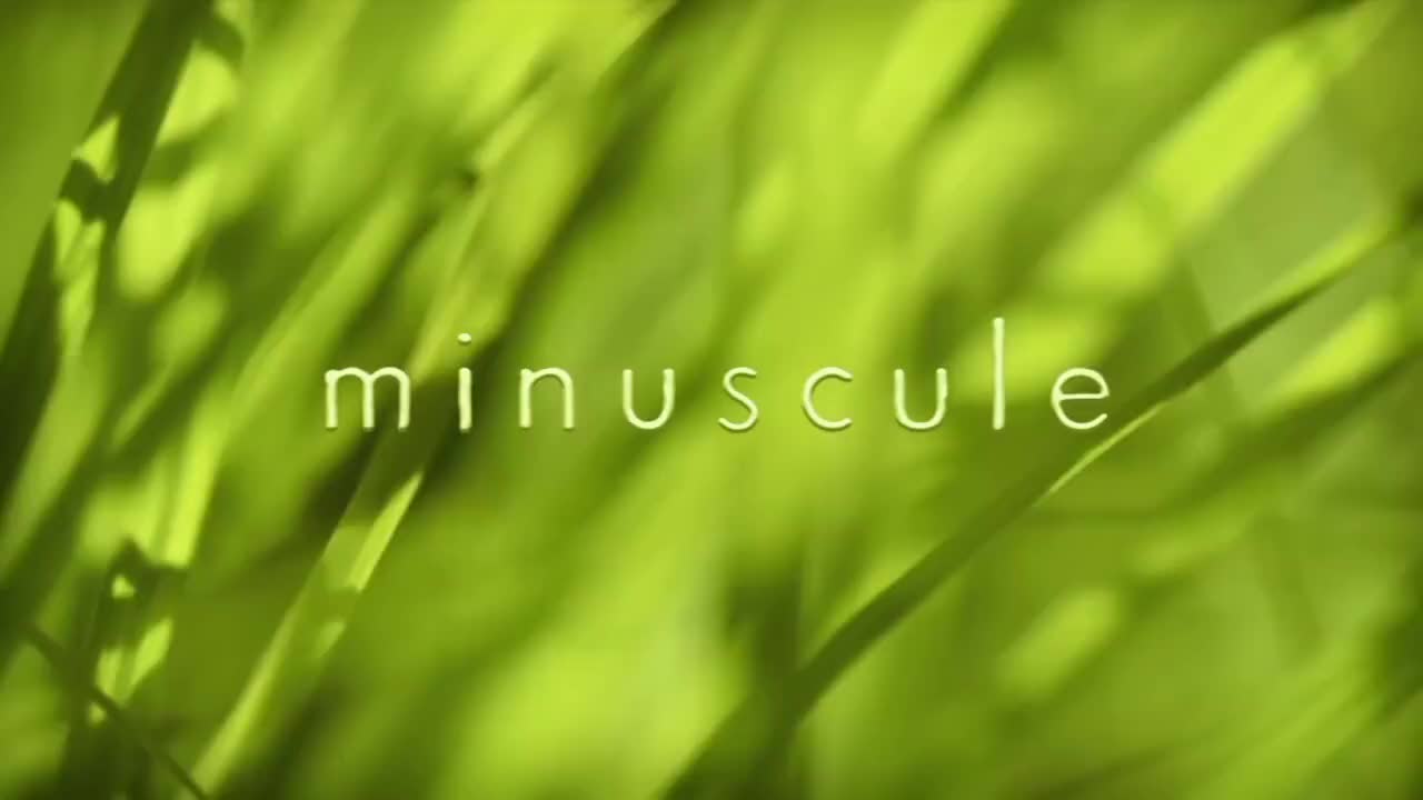 第二季 V6（第85到97集）