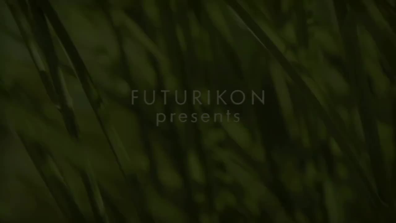 第二季 V5（第71到84集）