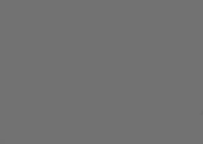 WIBBLY PIG _ 08 _ Star