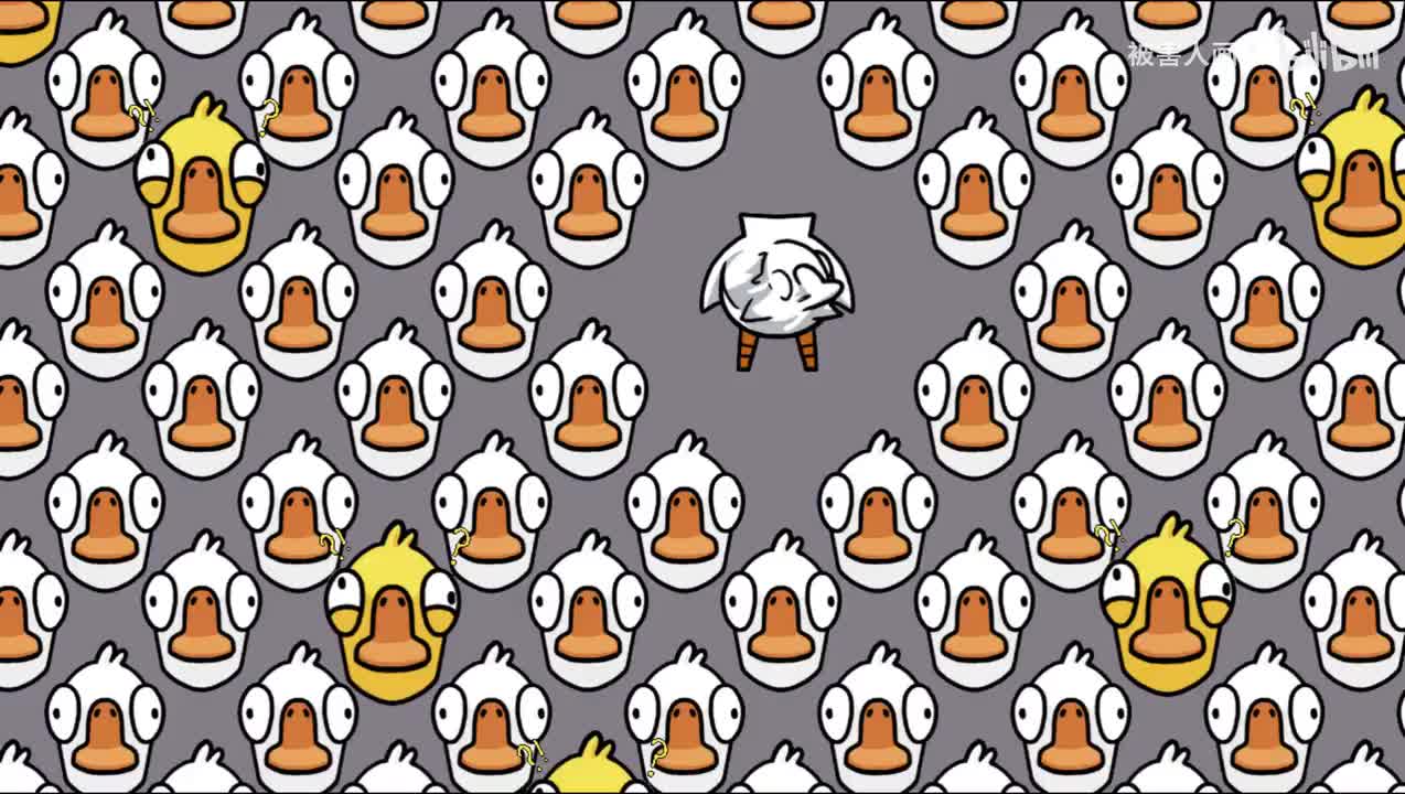 鹈鹕&食鸟&秃鹫