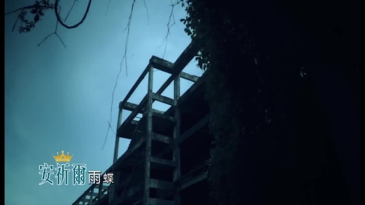 05. 雨蝶