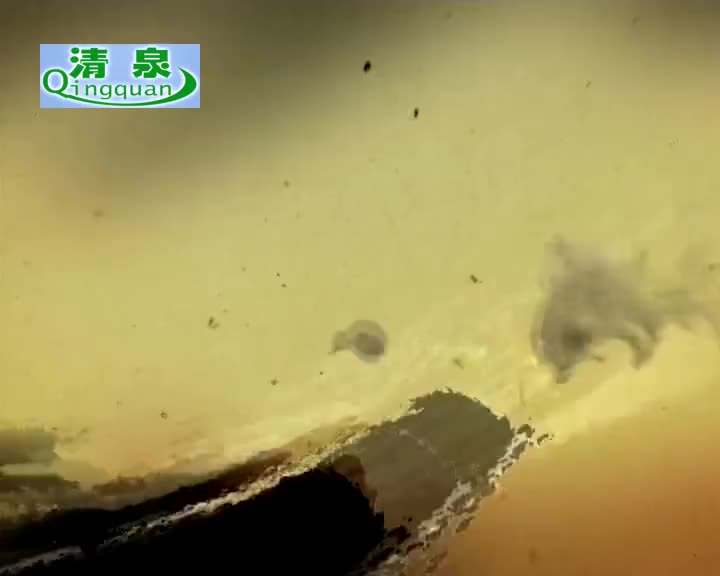 豫剧《三打金枝》金不换、徐福先