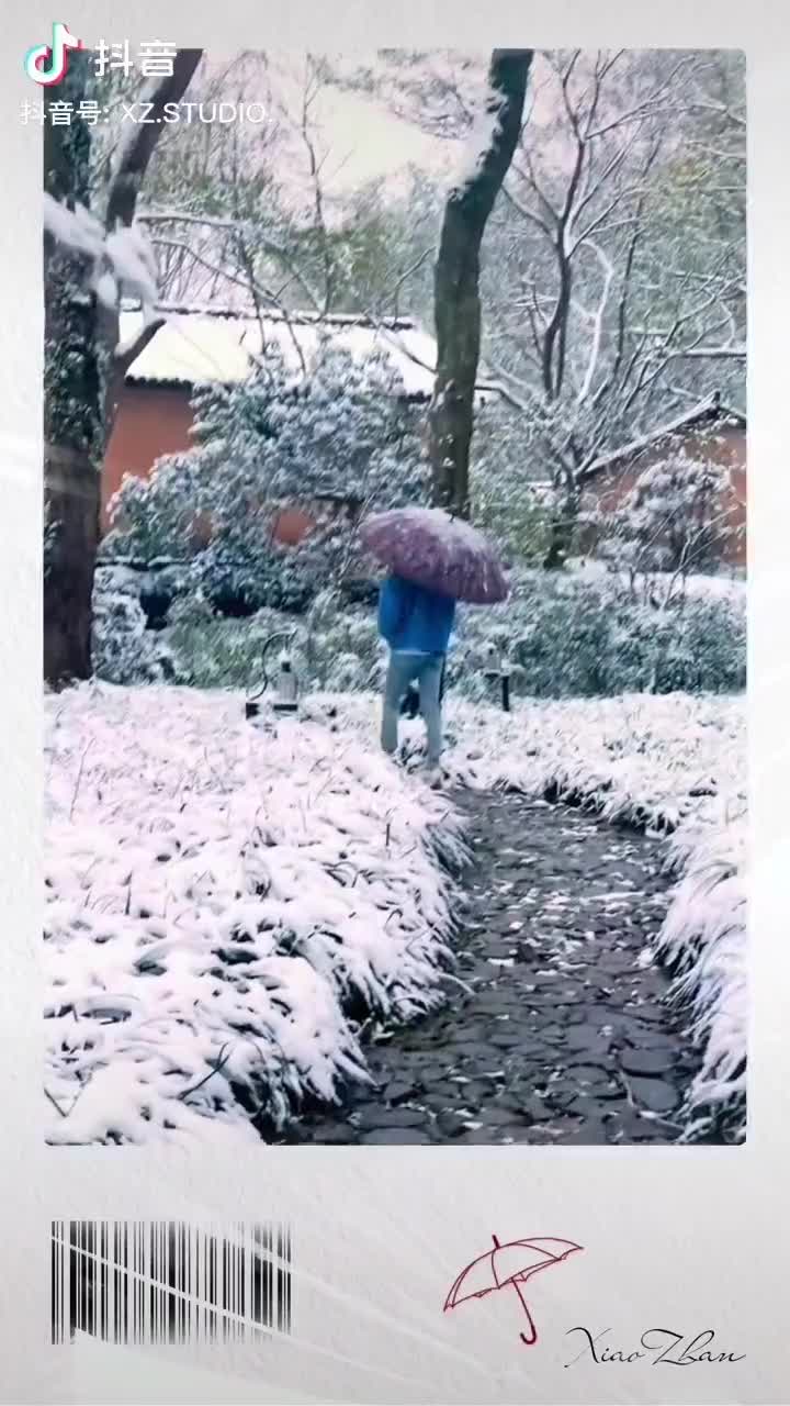 230219 肖战工作室-今日雨水无声绘春意