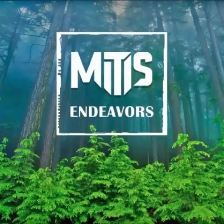 MitiS-Endeavors (努力)