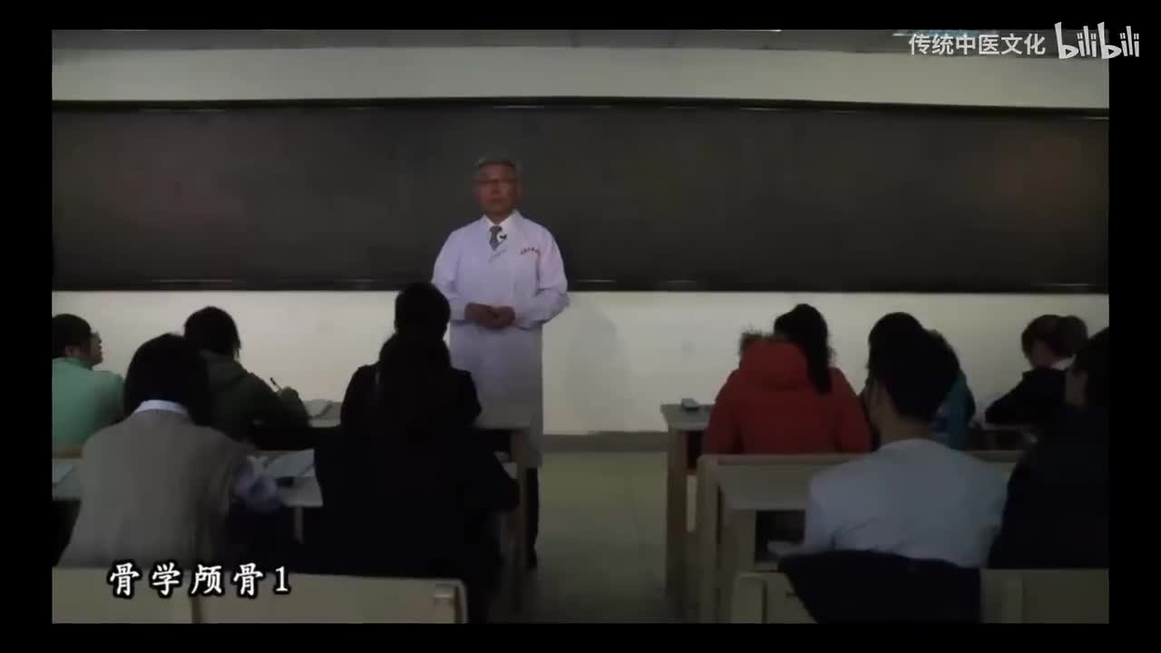 3-解刨学-运动系统-颅骨1