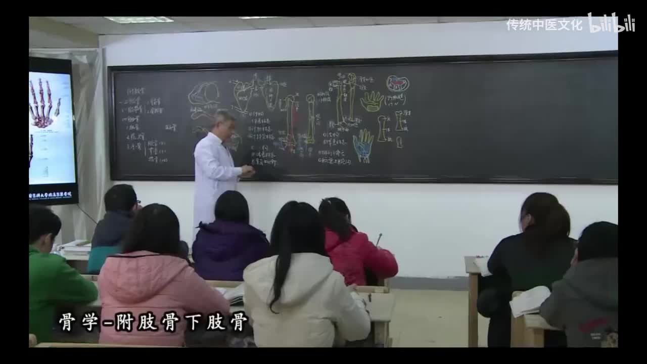 7-解刨学-运动系统-附肢骨下肢骨