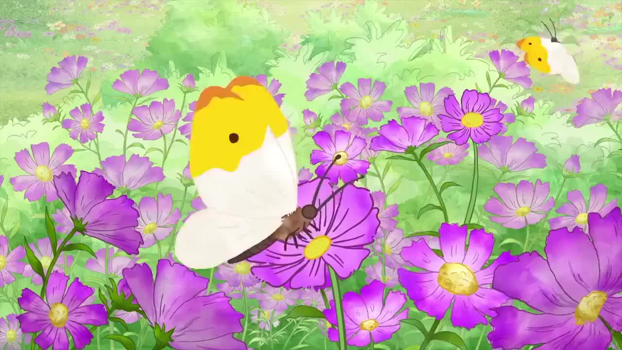 165.【165】Snippet__Field_of_Flowers(Av585099150,P165)