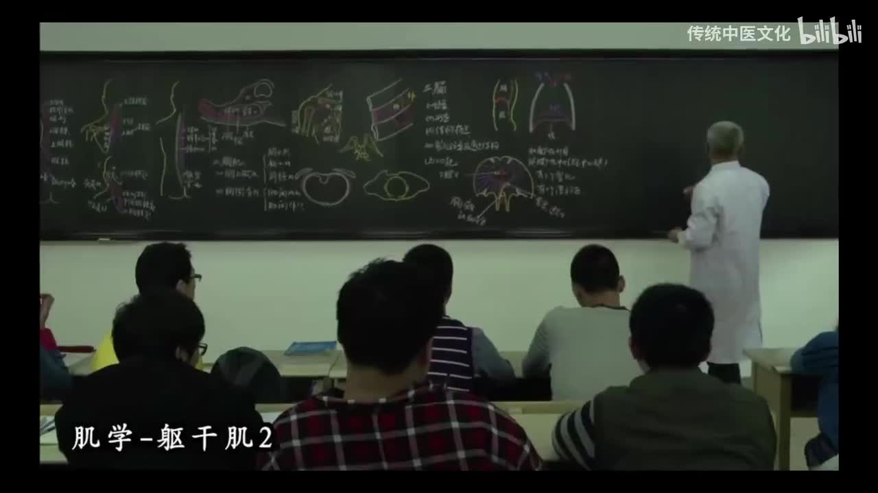 17-解刨学-运动系统-肌学-躯干肌2