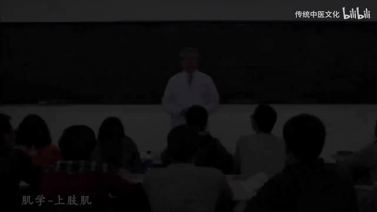 18-解刨学-运动系统-肌学-上肢肌