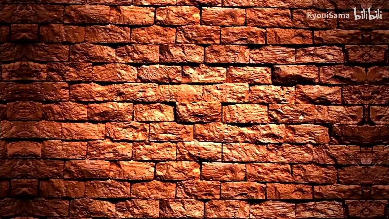 DR011_2007.10.29_鳥取クモ屋敷の怪(488_Preview)