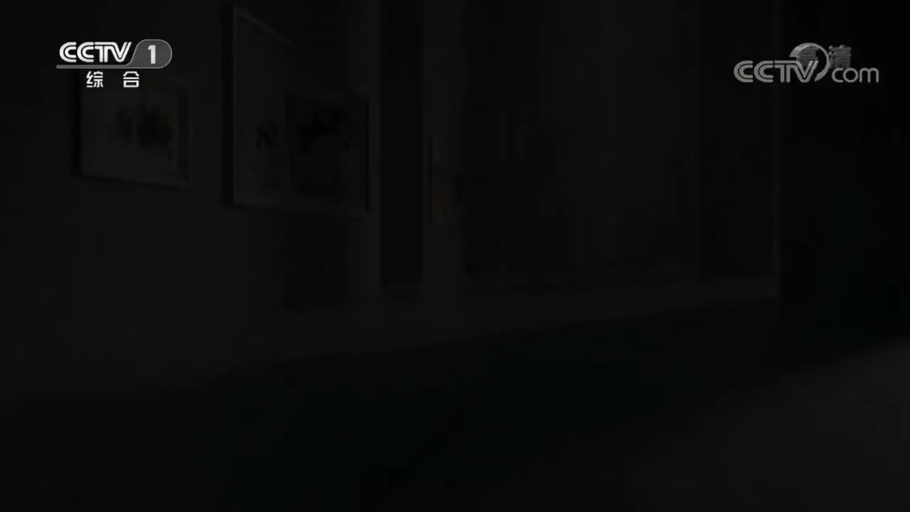 《美术里的中国》 20220502 太湖鹅群