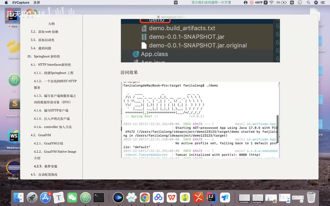 46 GraalVM 打包本地文件