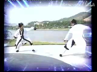武当松溪问津拳
