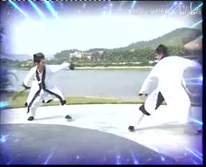 武当松溪雁翅拳