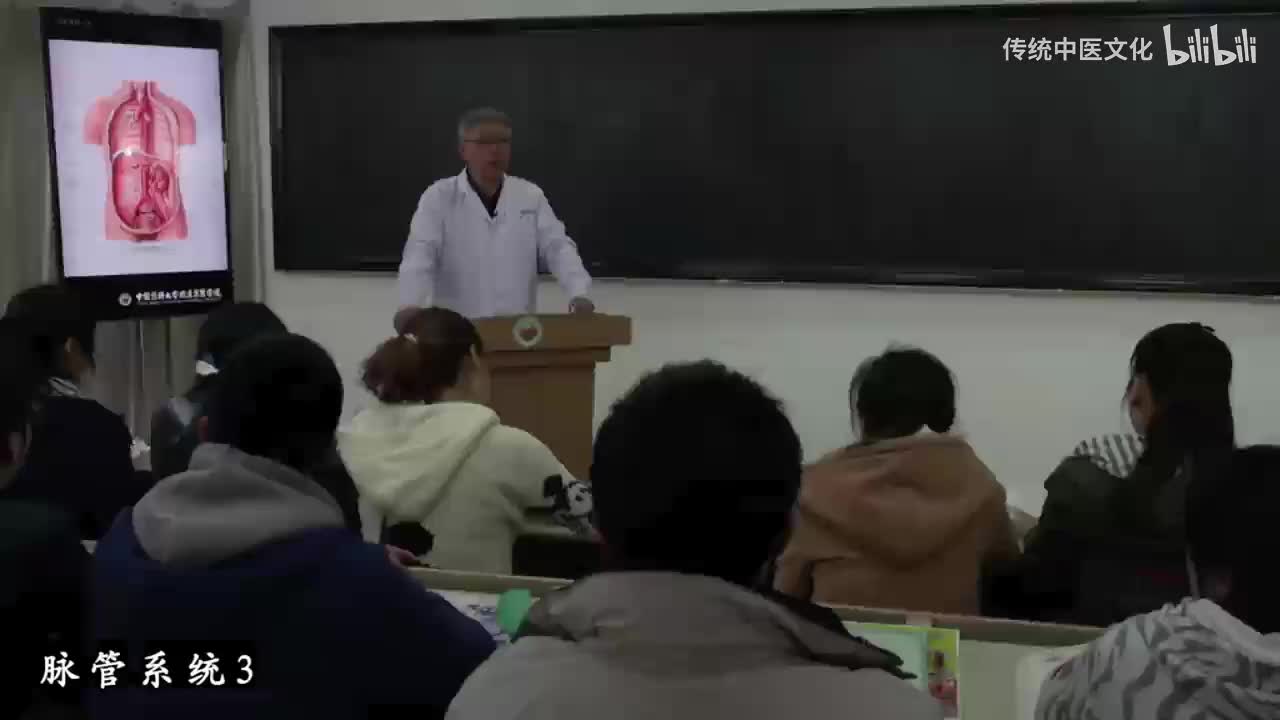 37-解刨学-脉管系统3