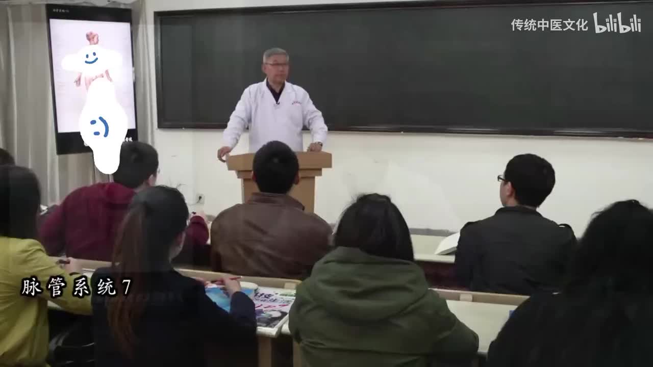 41-解刨学-脉管系统7