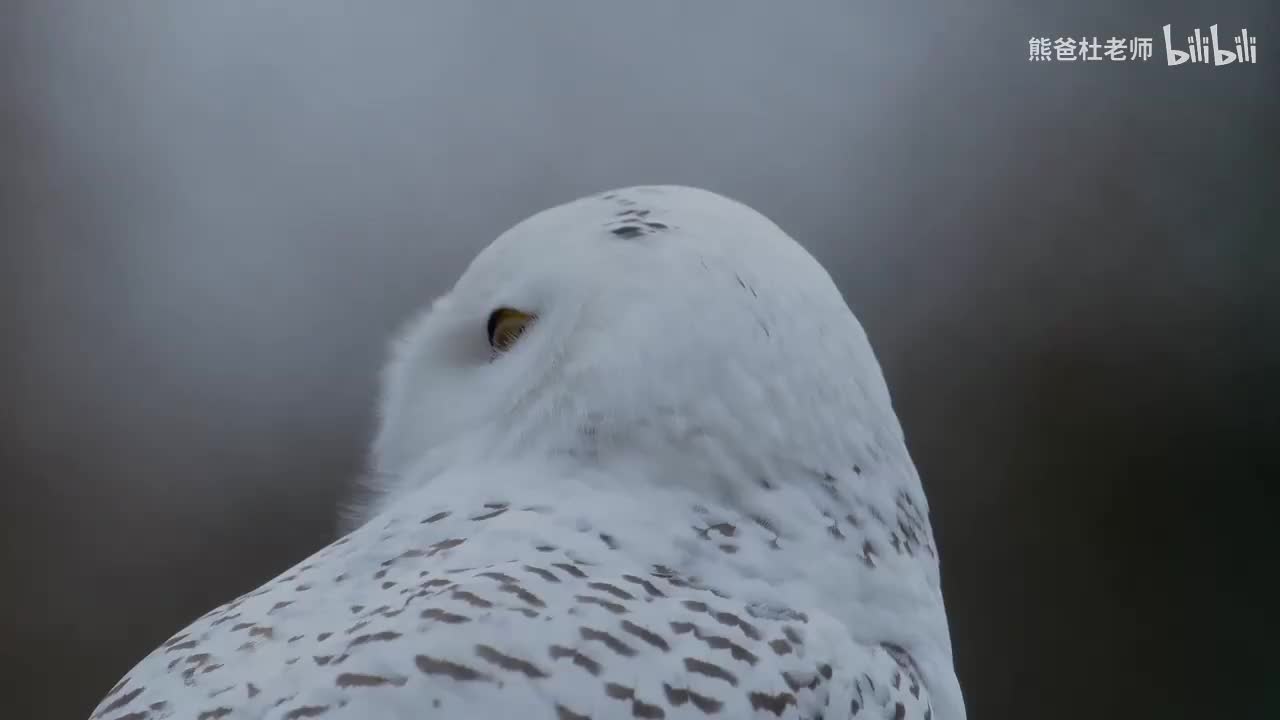 THK2_BE_L0_U11.1_doc