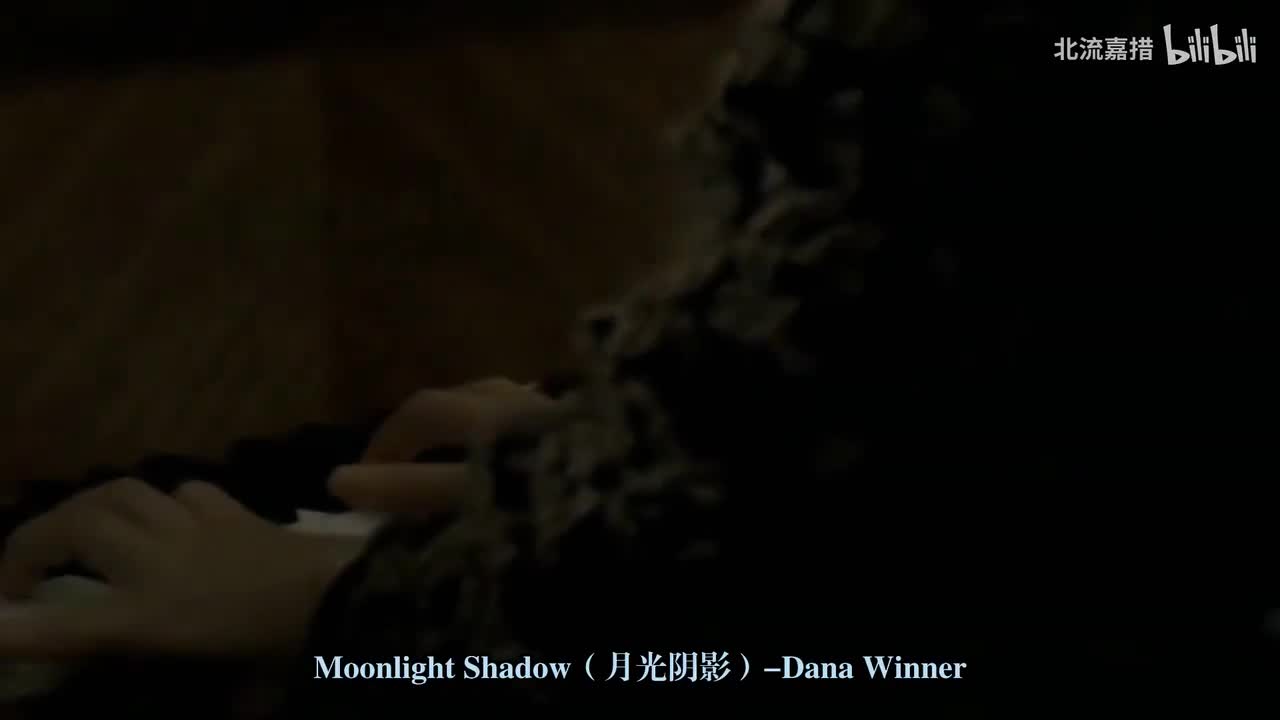 20.月光阴影（Moonlight Shadow）-Dana Winner