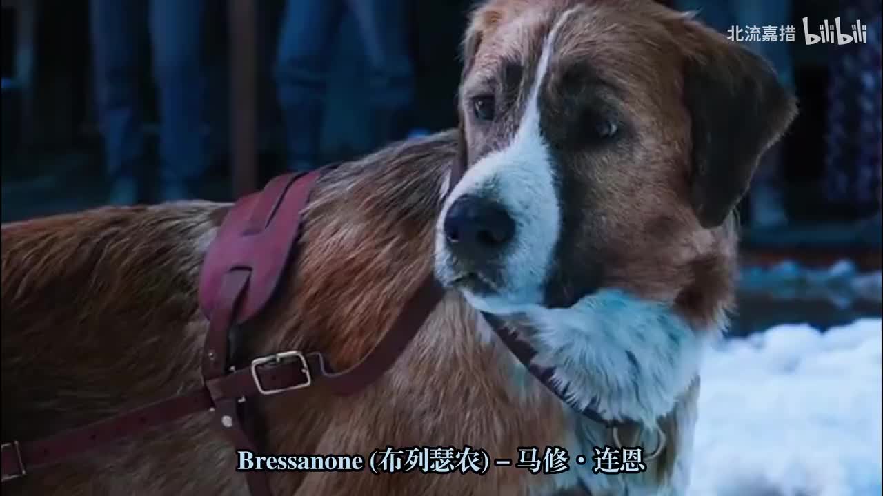 37.布列瑟农 (Bressanone) - 马修·连恩