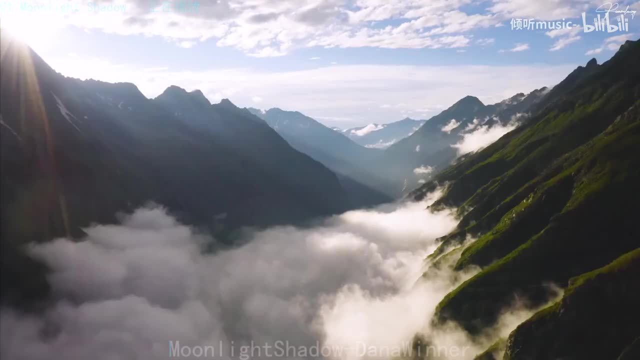 《Moonlight Shadow》