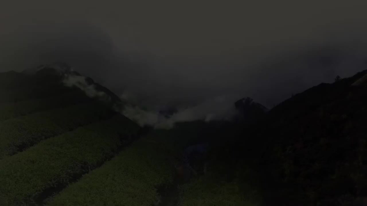 万象中国——超越万象，探寻中国 第17集：引线乘风——风筝，承载着中国人飞翔的梦想，也凝聚着“匠心”的追求 1080P(高清SDR)(4059900)