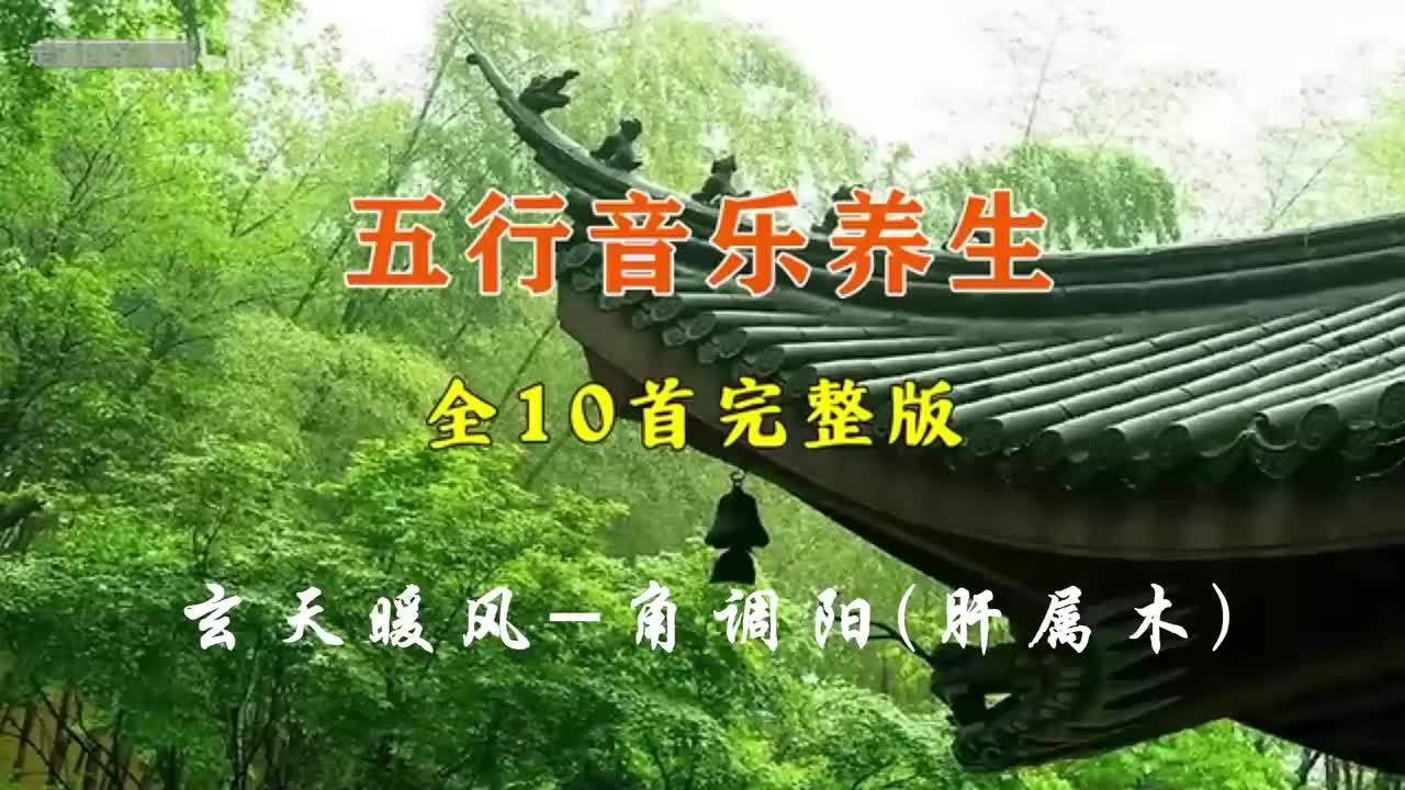 08、玄天暖风-角调阳(肝属木)