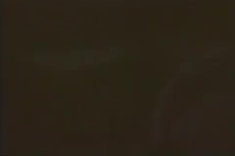 周华健国语版《最真的梦》