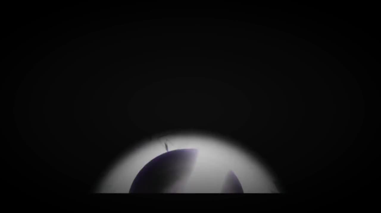 studio_video_1680855734849