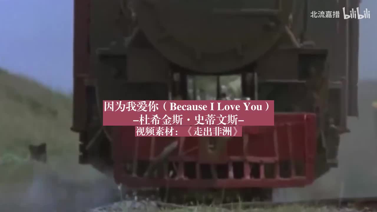 28.因为我爱你（Because I Love You）-杜希金斯·史蒂文斯