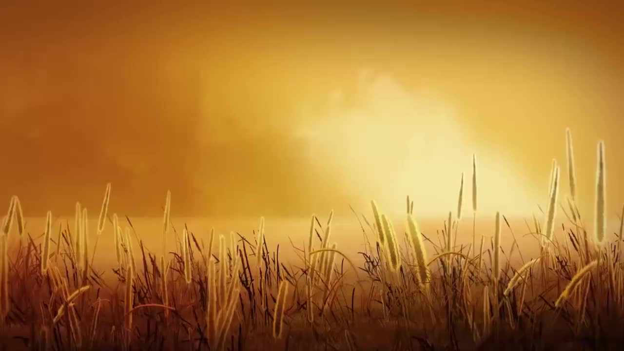 Si jamais j'oublie ZAZ