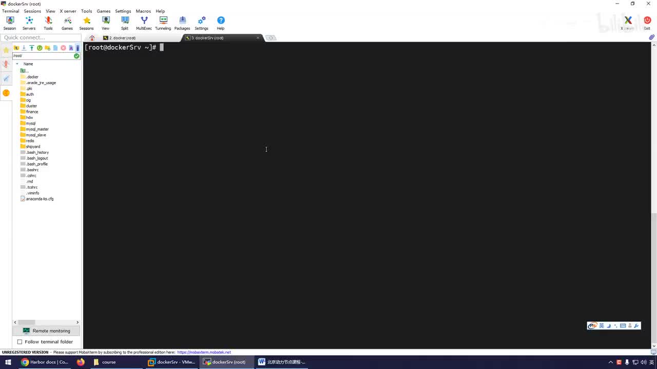 155-启动并HTTPS访问registry镜像中心