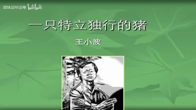 域外杂谈·盗贼