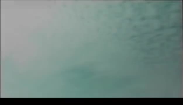 Singalongsong 《橙月》