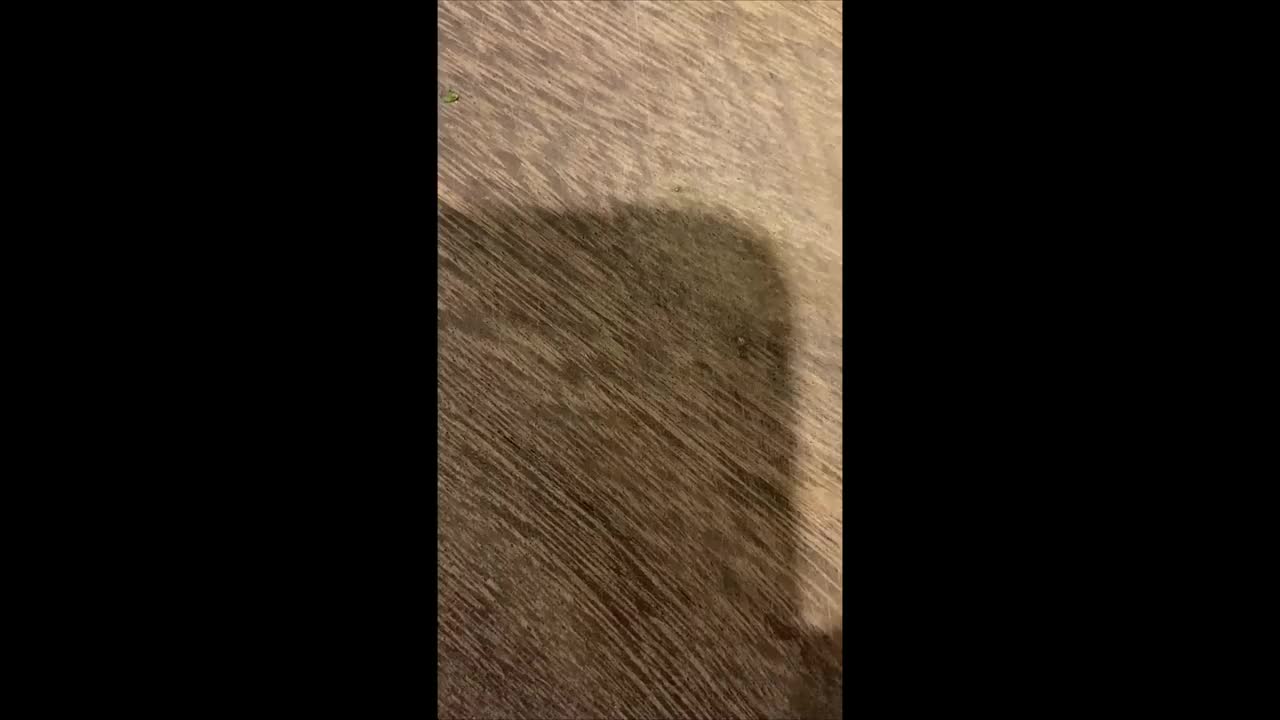 面面 《宅这》EP