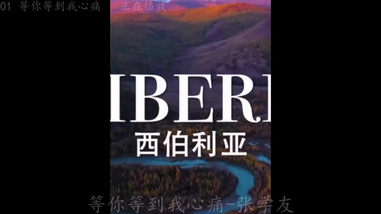 《等你等到我心痛》