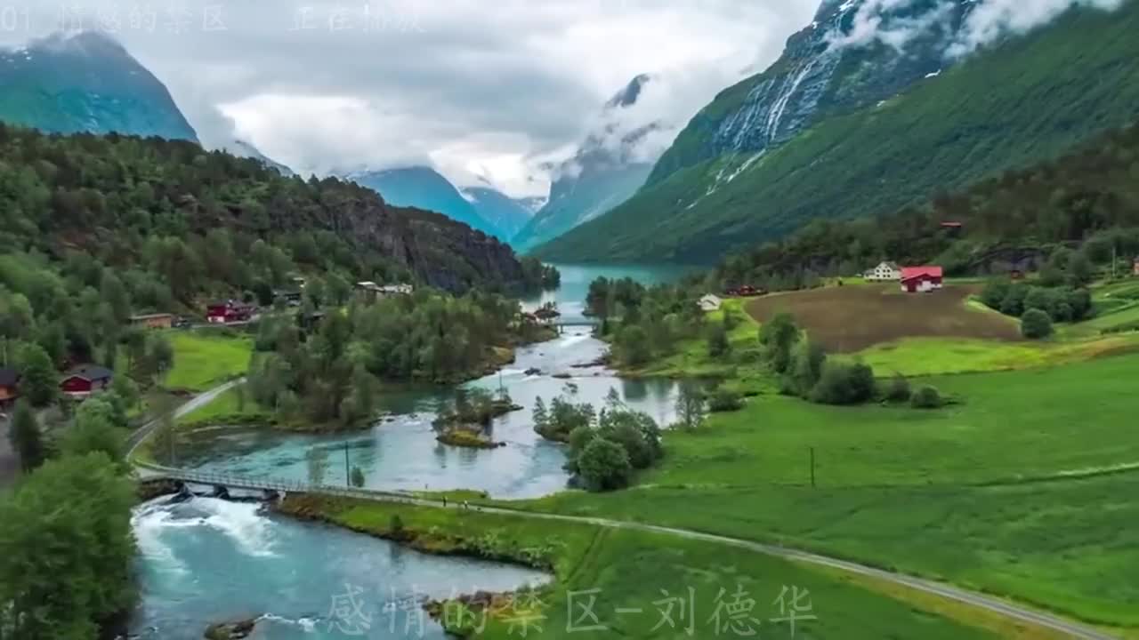 《情感的禁区》