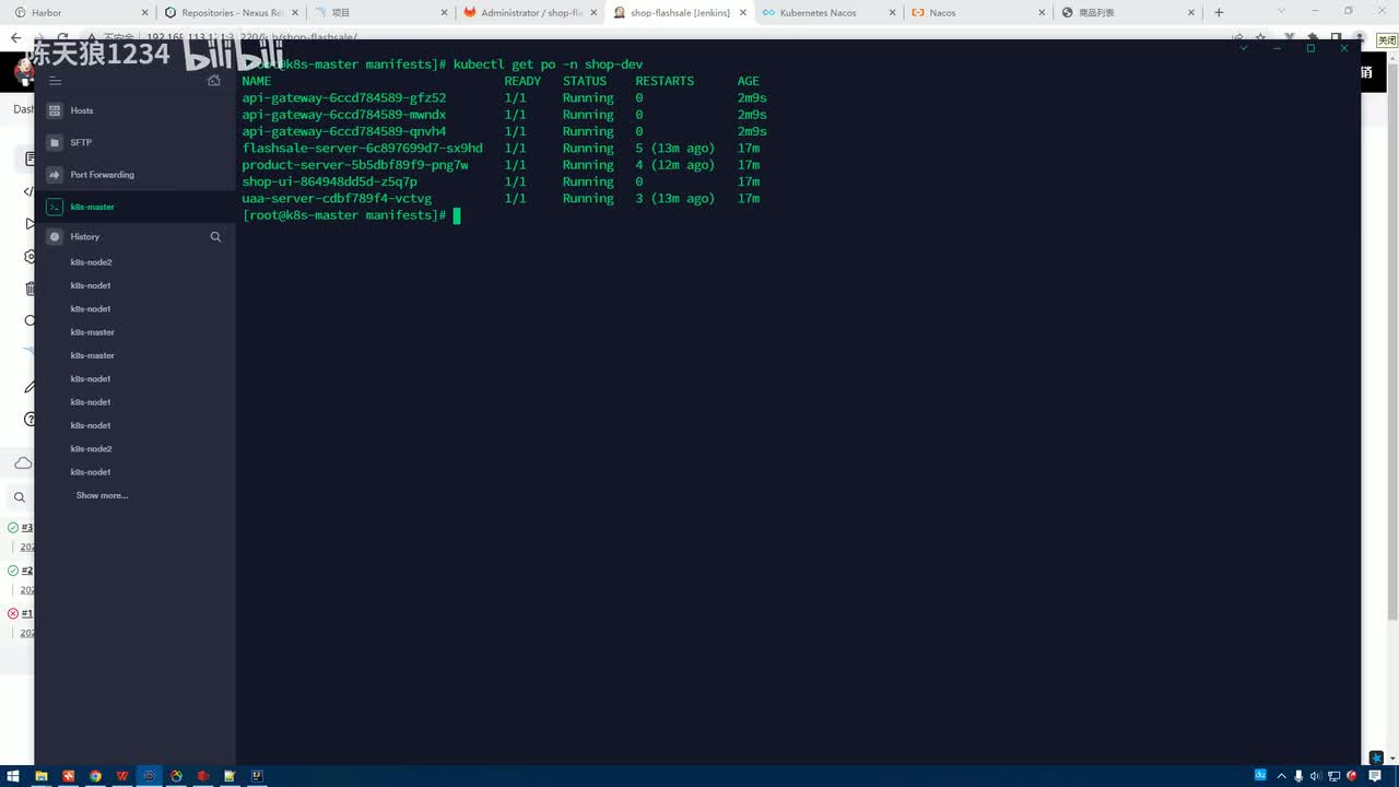 5.6.5_微服务DevOps实战-项目构建：第三方服务连接服务名配置