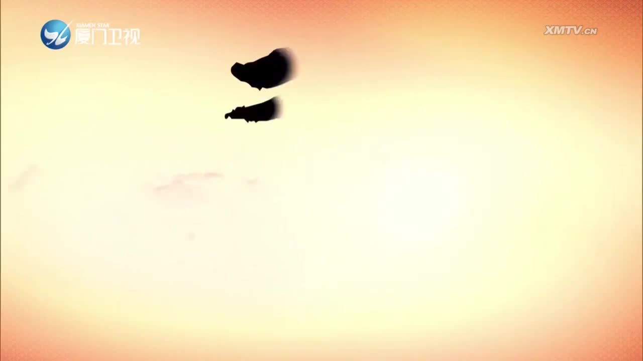 继母泪（1） 斗阵来看戏 2023.05.08 - 厦门卫视