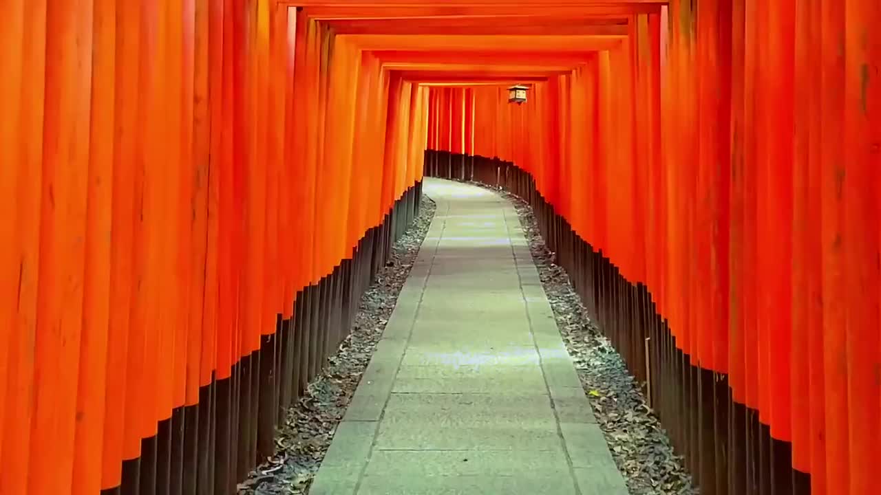 10_things_not_to_do_in_Japan_🇯🇵