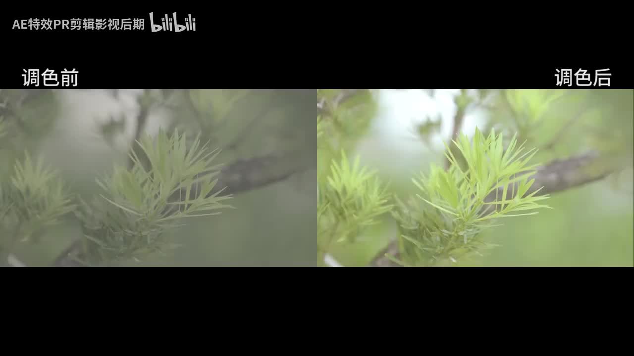 【PR教程】PR小清新风格调色效果