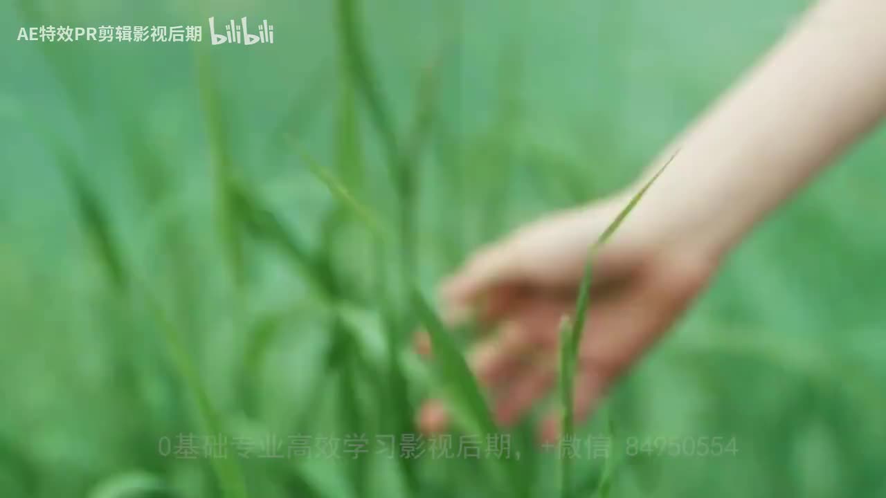 【PR教程】你不知道的调色骚操作教程