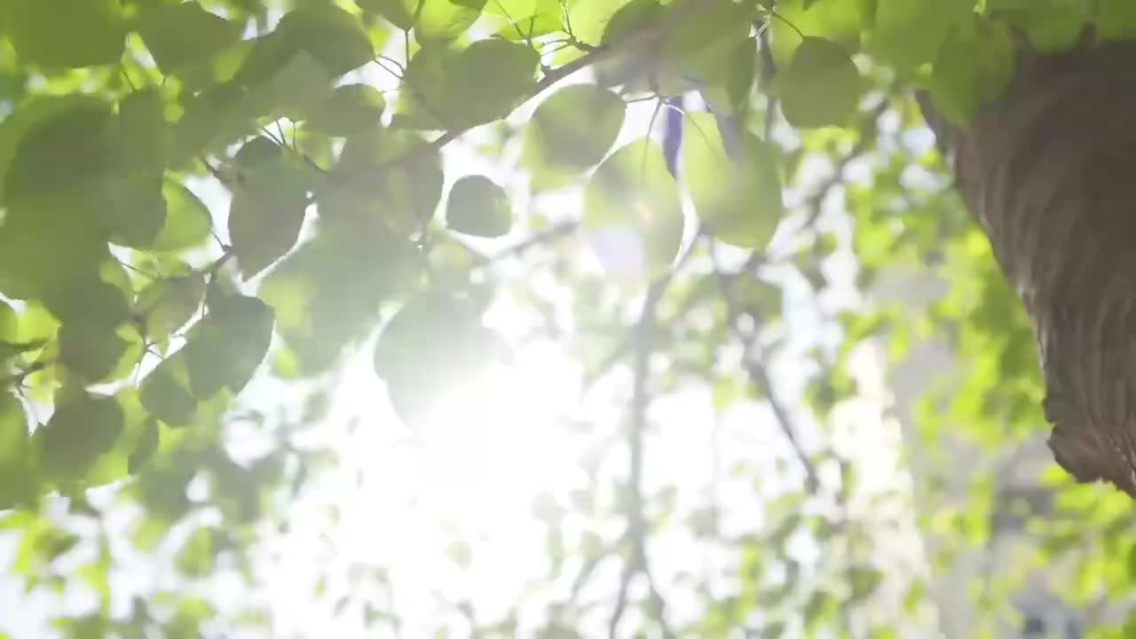 【中字】Vacation of Doran