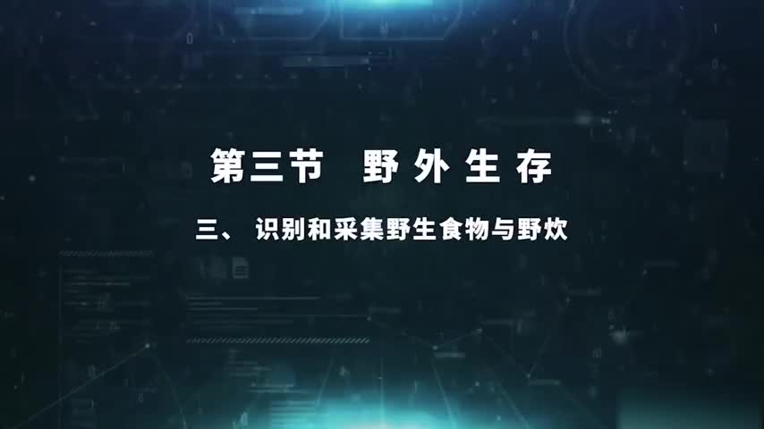 5.3.3 识别和采集野生食物与野炊