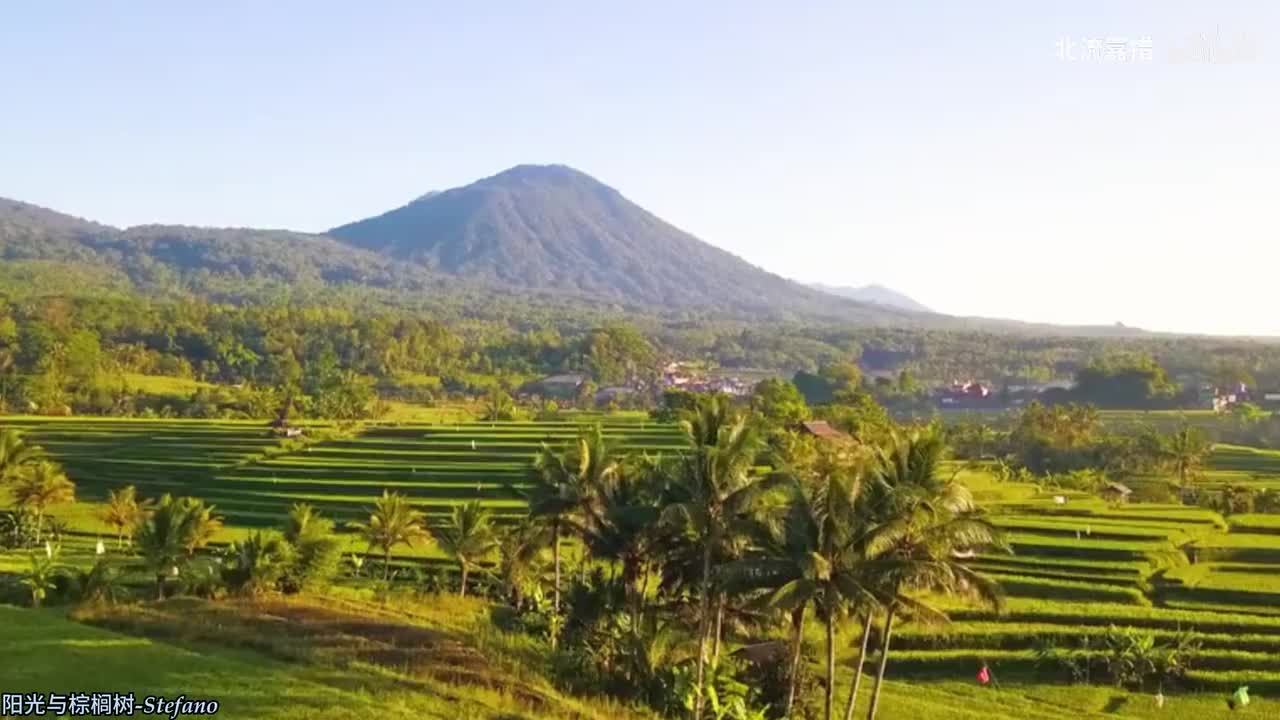 108.阳光与棕榈树-Stefano