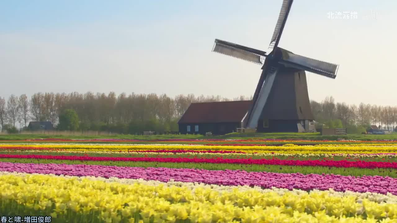 067.春と啸-増田俊郎